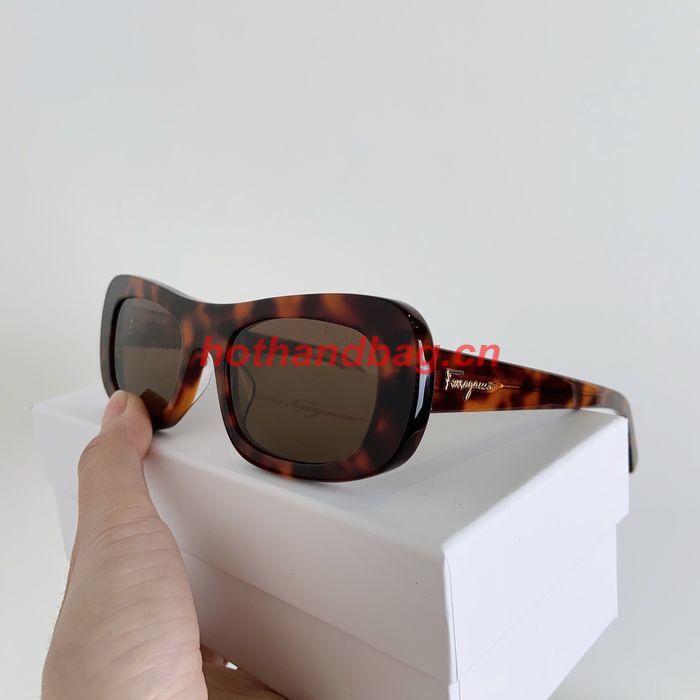 Salvatore Ferragamo Sunglasses Top Quality SFS00459